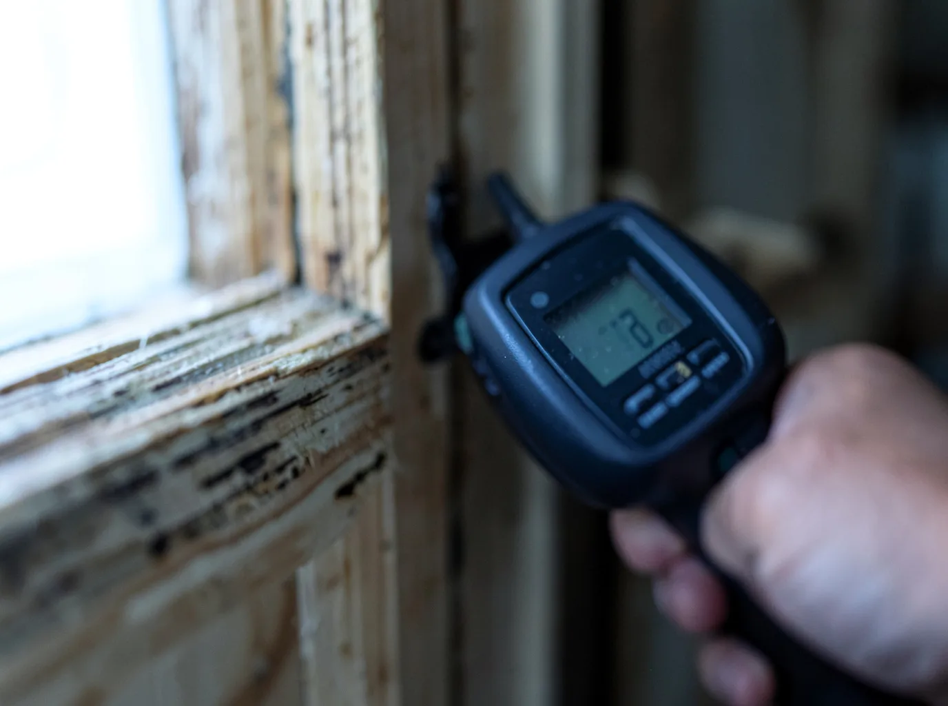 Moisture Inspection And Documentation in Kite, KY